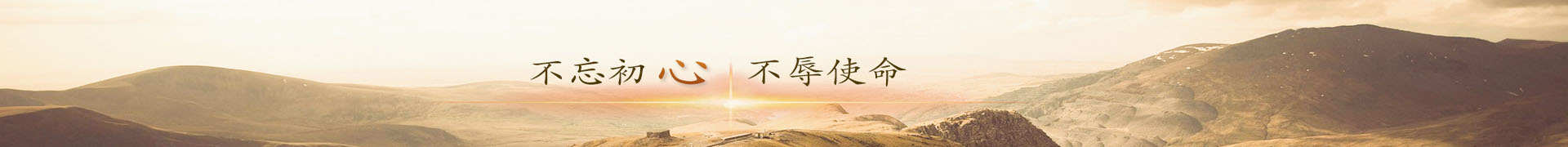 盈如投资